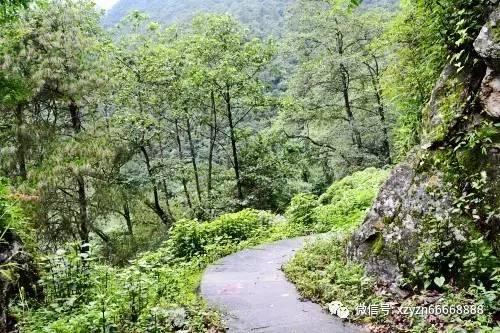 春节前最后一个主场要力争胜利！青岛男篮将对阵“领头羊”新疆男篮